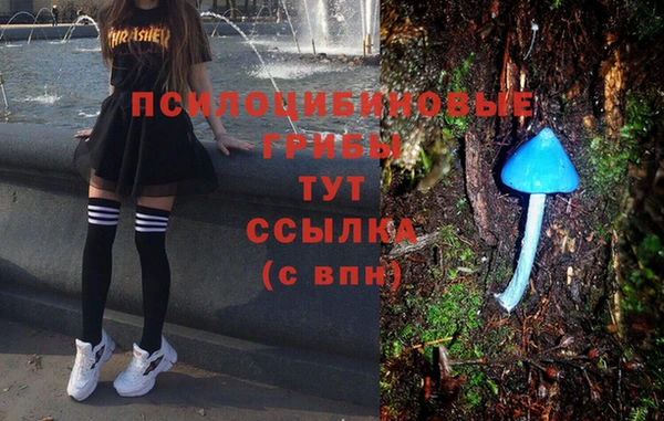 ПСИЛОЦИБИНОВЫЕ ГРИБЫ Алексеевка