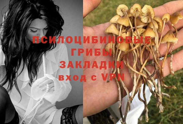 mdpv Аркадак