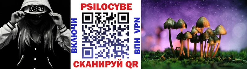 Галлюциногенные грибы мухоморы  Купить закладки  Верхний Уфалей 